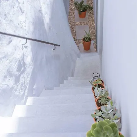 Living Corpo De Deus קוימברה