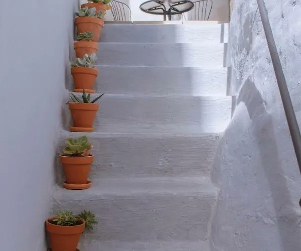 Appartement Living Corpo De Deus